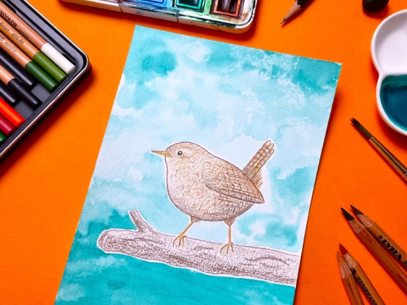 vogel-tekenen-aquarelleren vogel-tekenen-aquarelleren