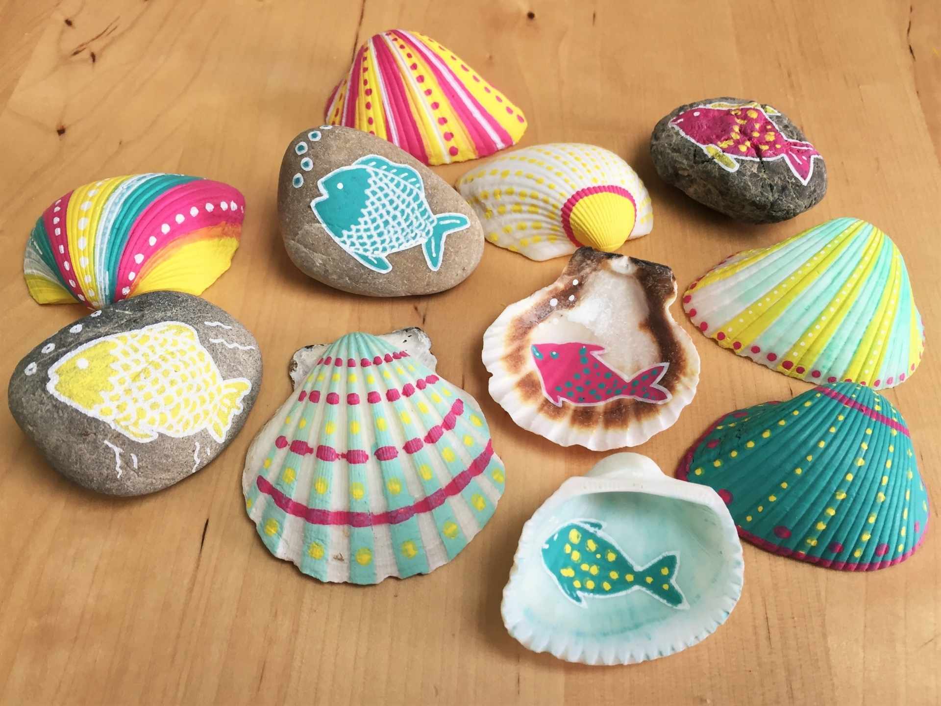 kinderopvang-onderwijs-creatieve-activiteiten-pakketten-schelpen